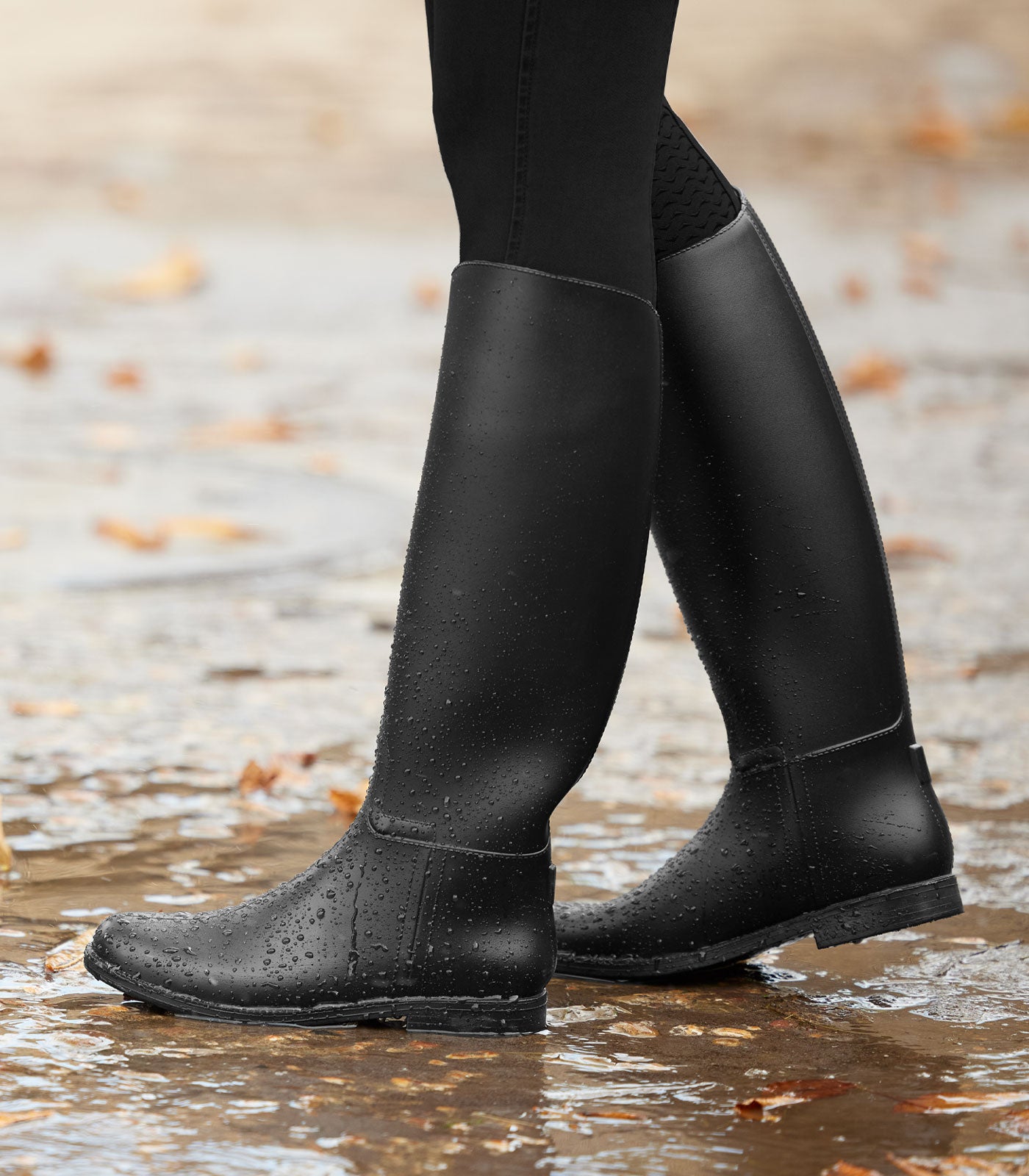 Bottes d'équitation - star