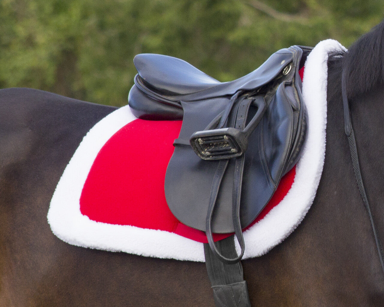 Tapis de selle de Noël