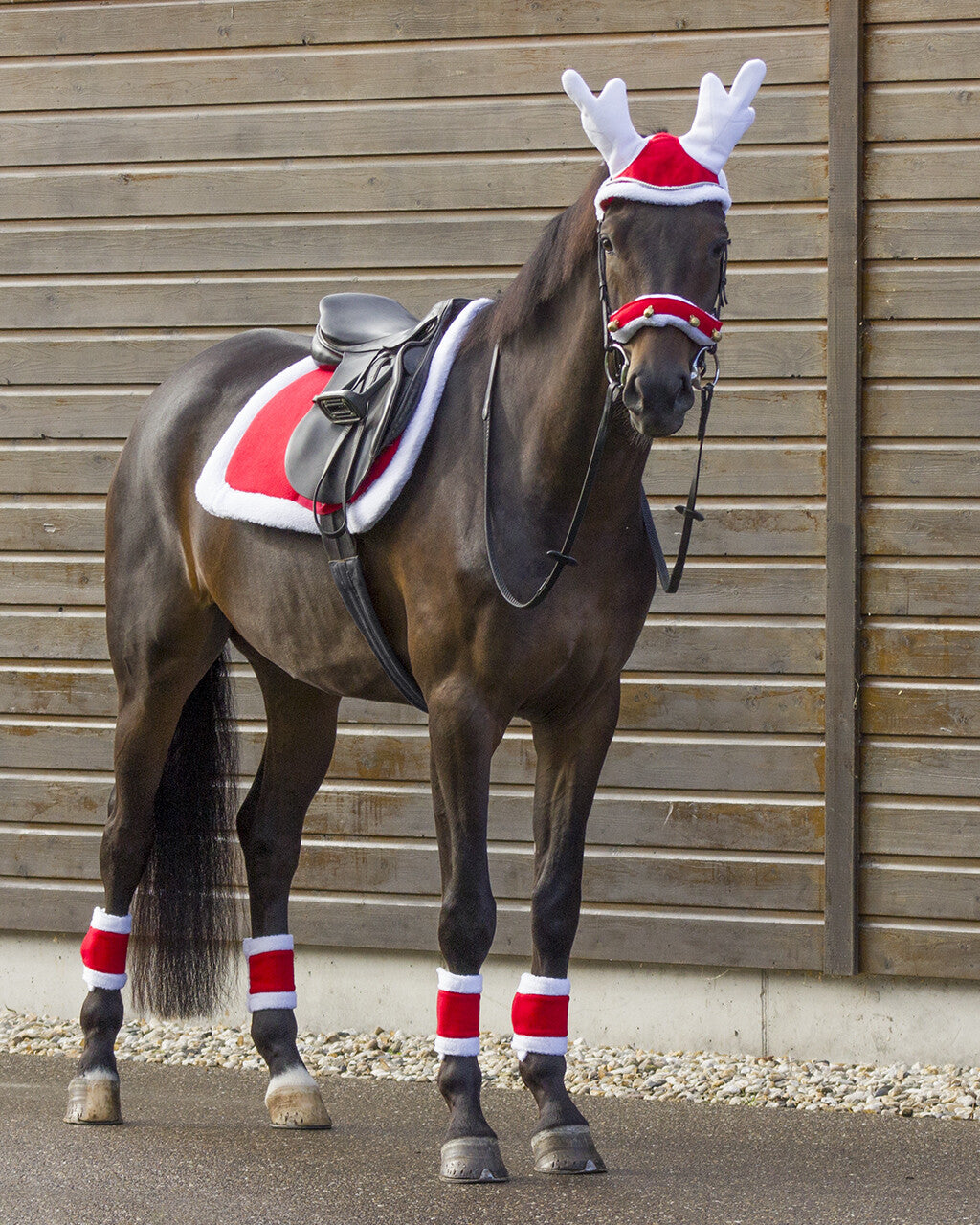 Tapis de selle de Noël