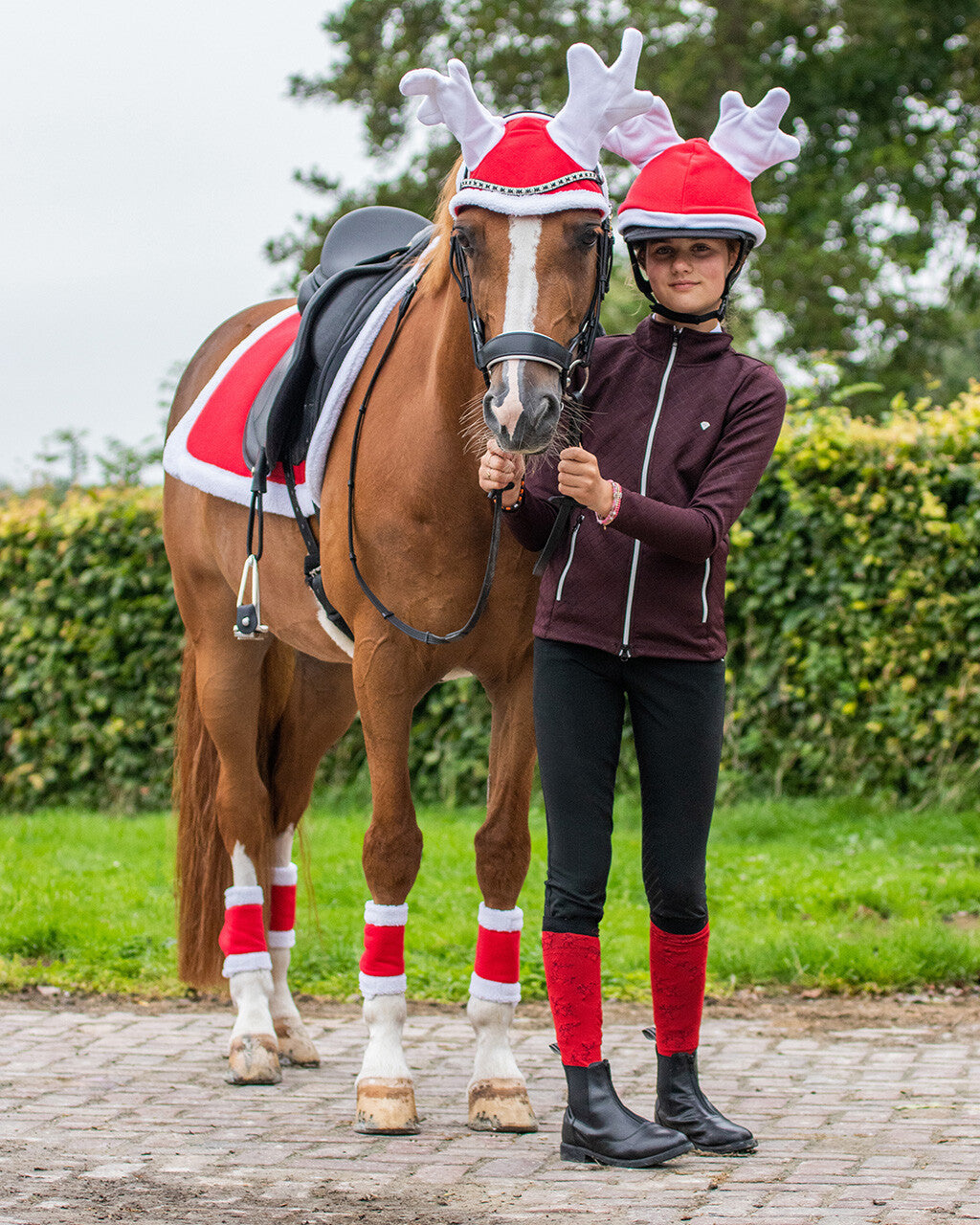 Tapis de selle de Noël