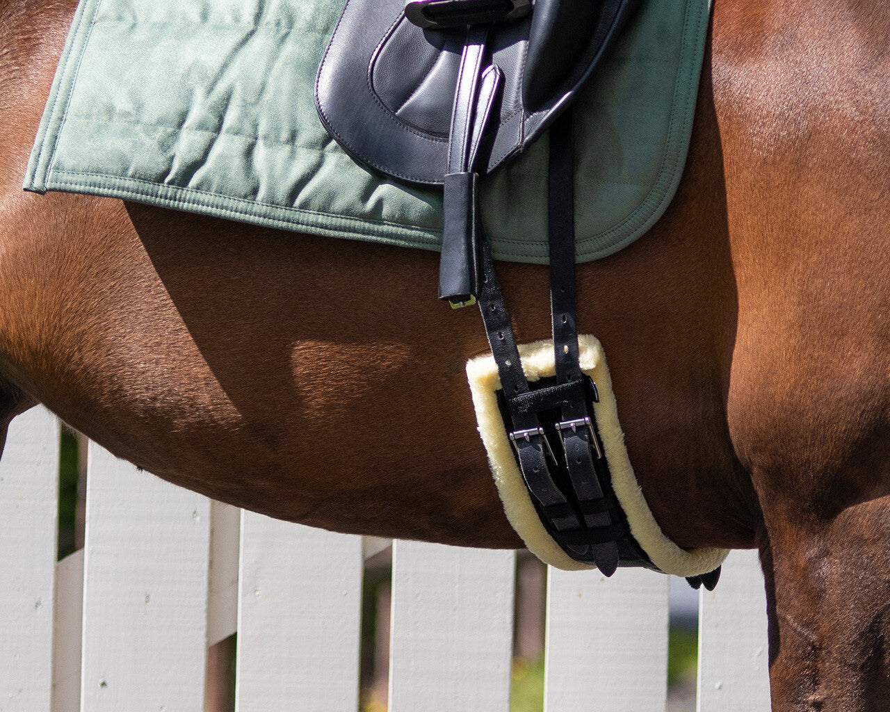 Sangle de dressage - Ontario