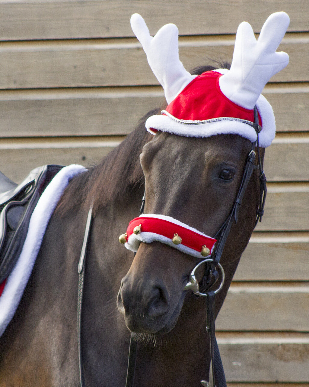 Bonnet de Noël renne
