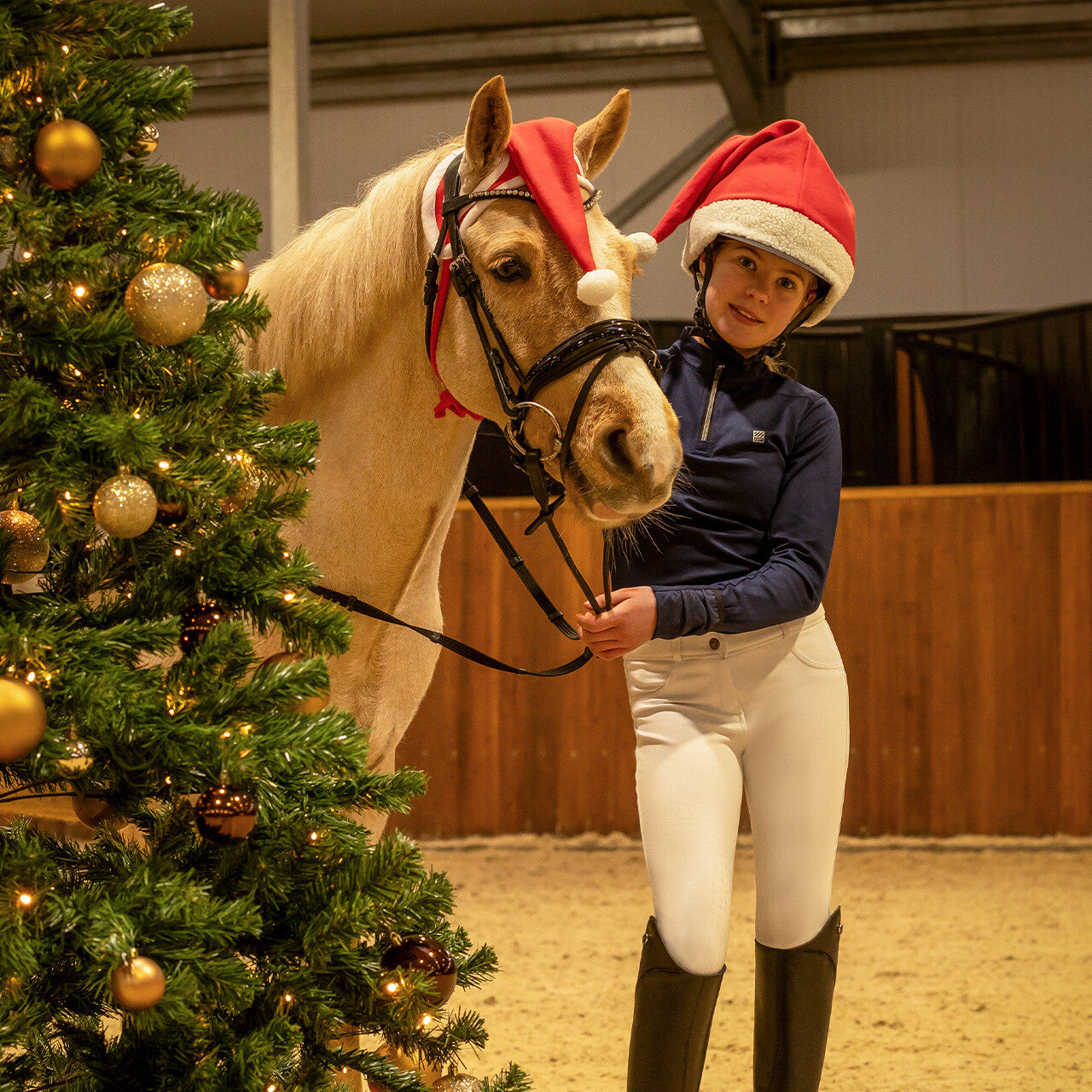 Cheval au bonnet de Noël