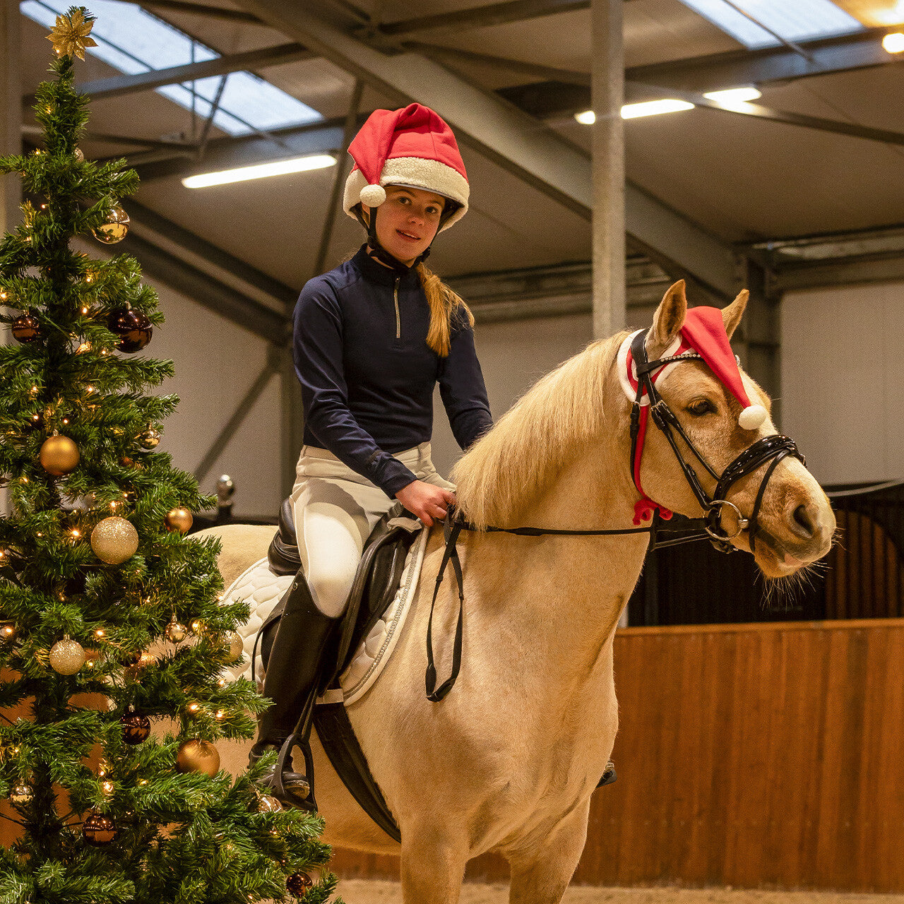 Cheval au bonnet de Noël