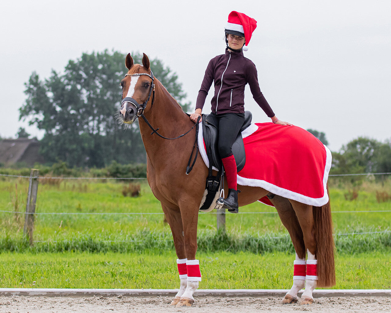 Fiche d'exercices de Noël