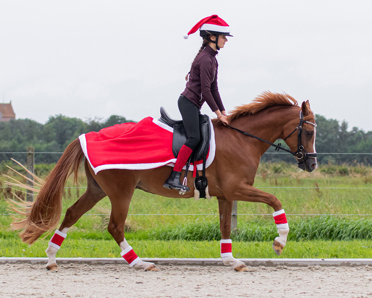 Fiche d'exercices de Noël