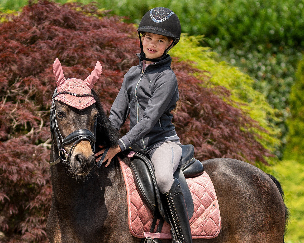Veste softshell