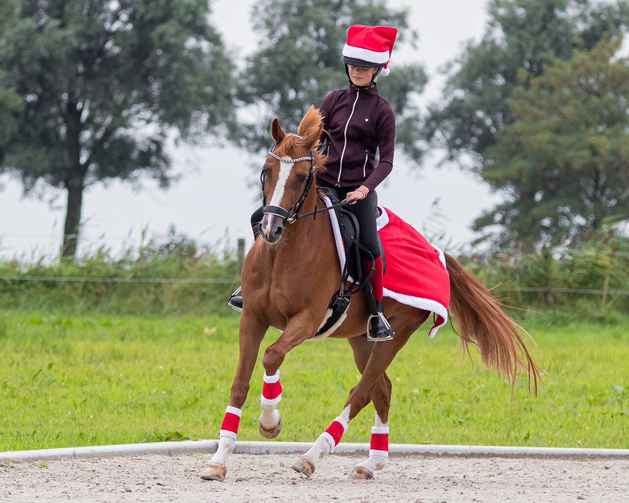 Pansements de Noël