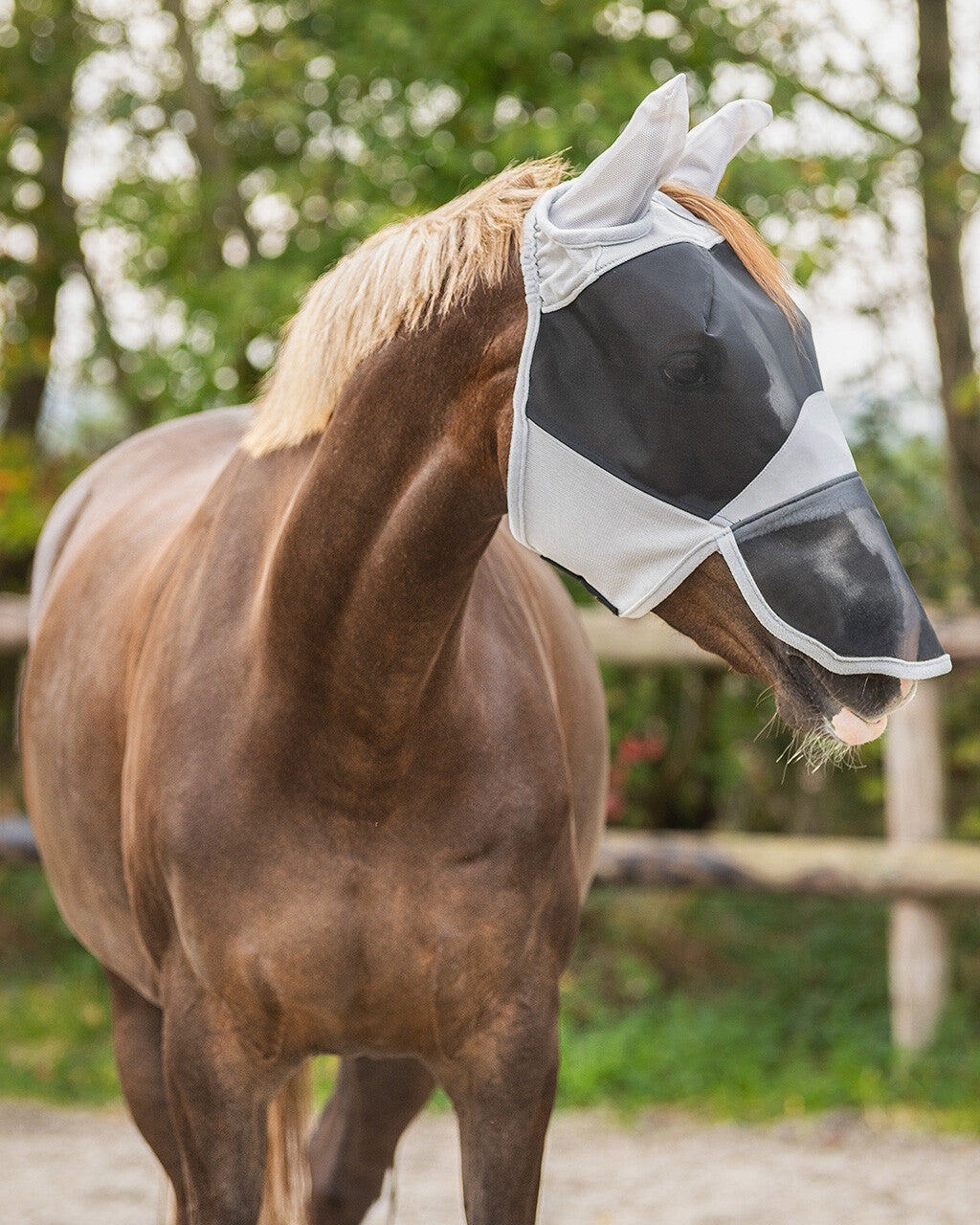 Masque anti-mouches Solaire