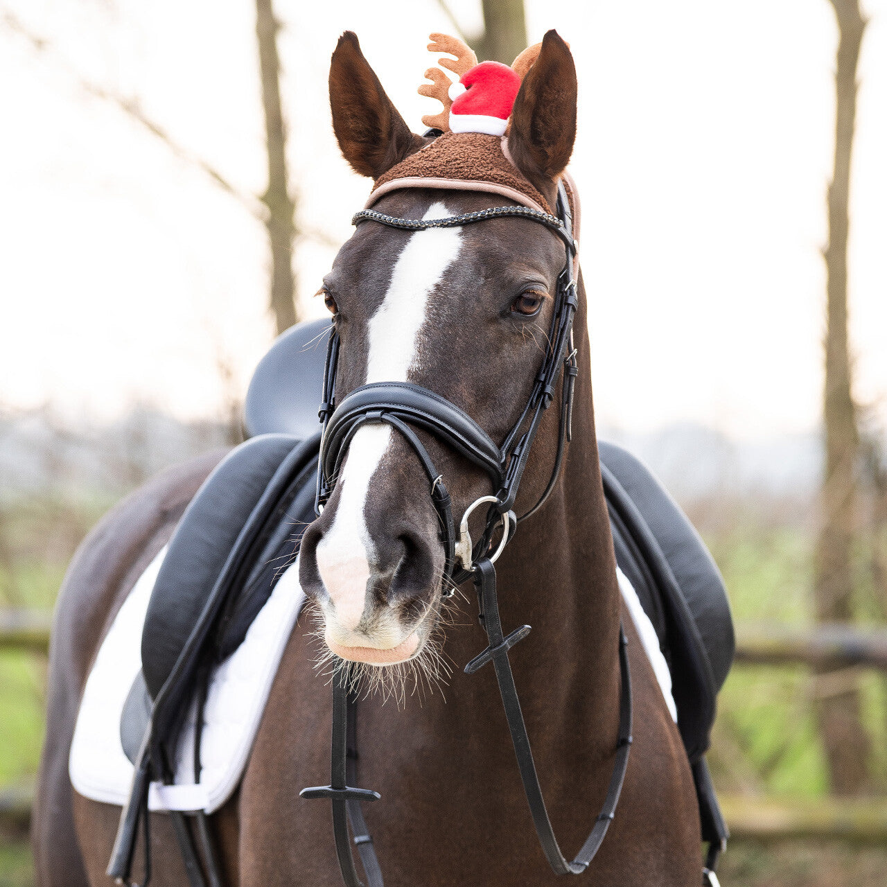 Cheval en chapeau de Noël avec des bois