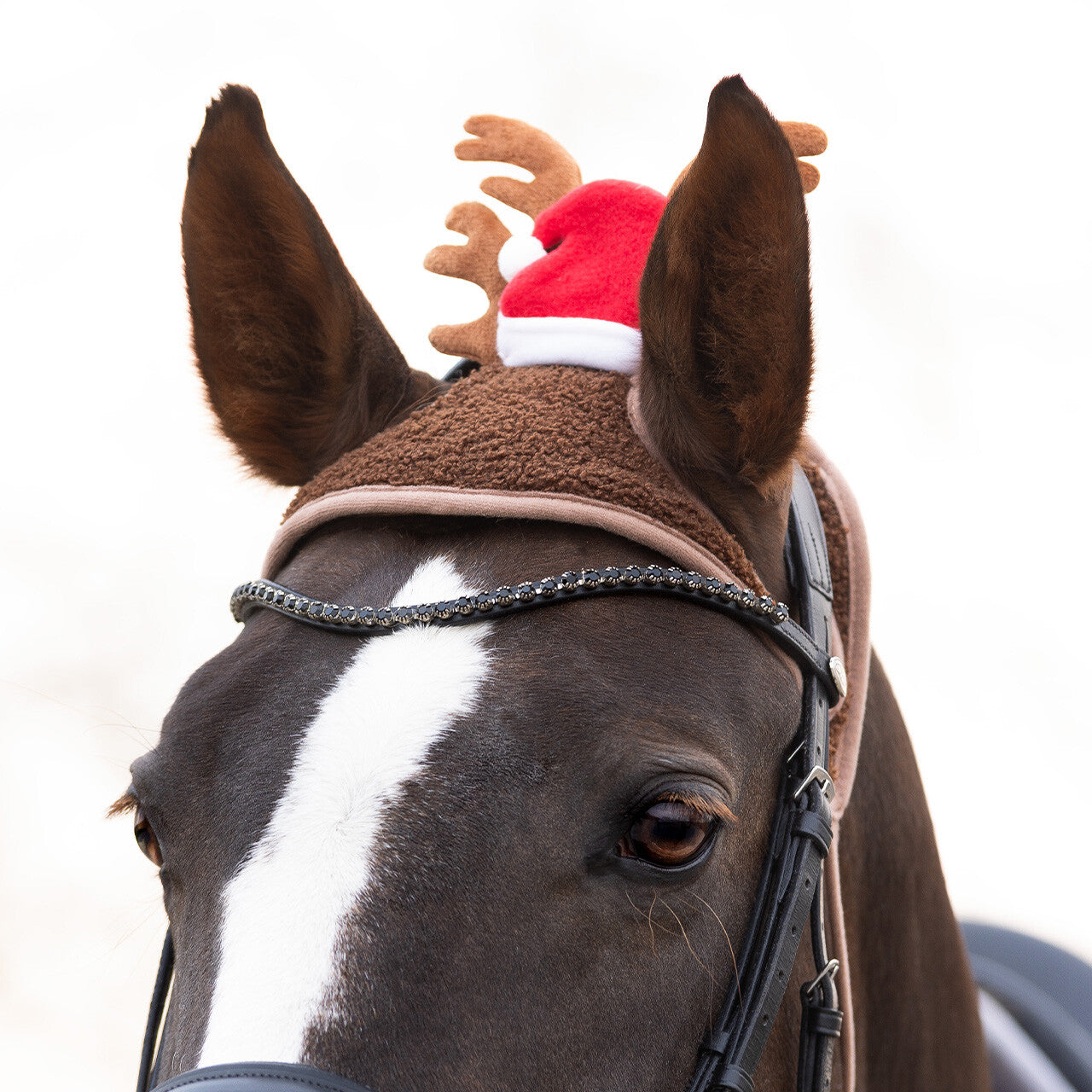 Cheval en chapeau de Noël avec des bois